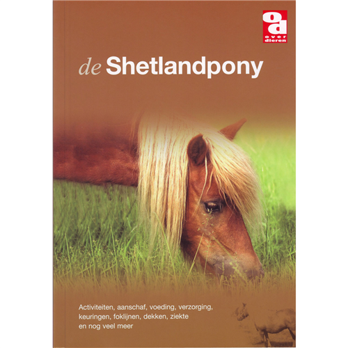 Shetlandpony