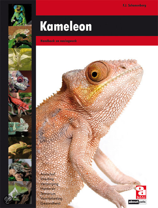 Kameleon boek