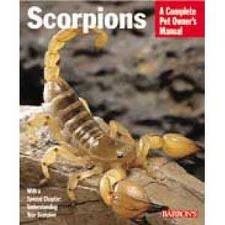 Scorpions - Manny Rubio