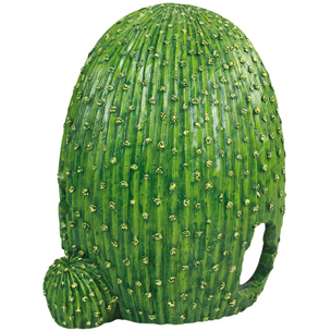 REPTIELENSCHUILPLAATS CACTUS - S
