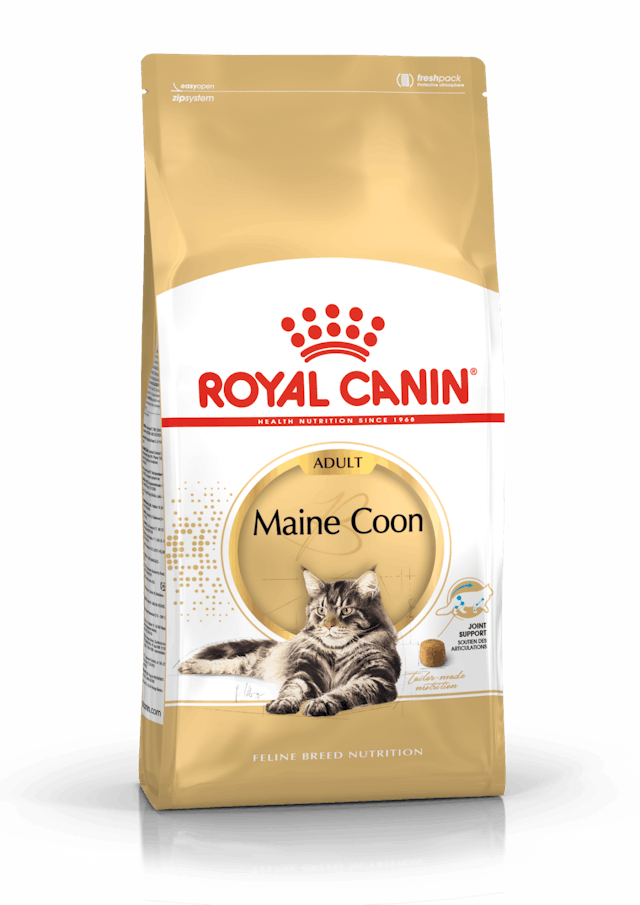 Royal Canin Maine Coon 31 2 kg