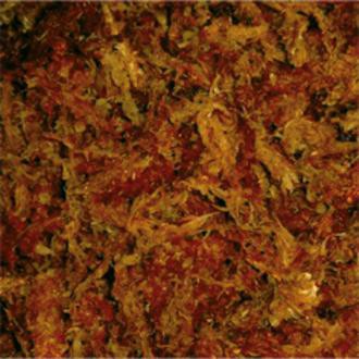 Sphagnum mos beige 100gr