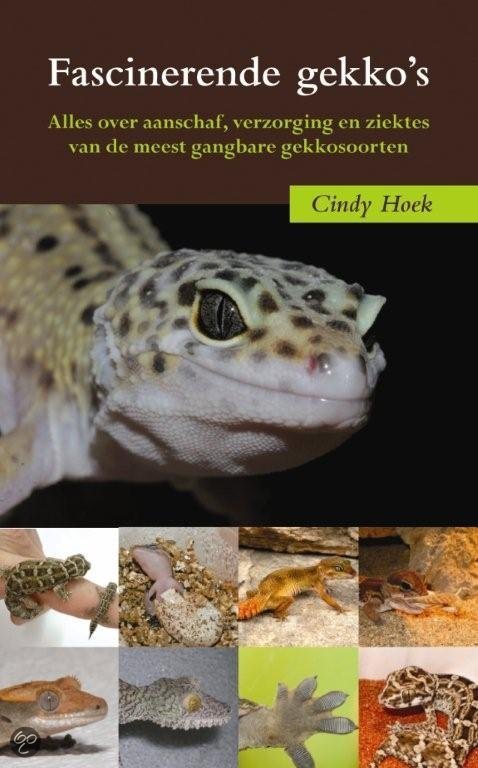 Fascinerende gekko's - Cindy Hoek