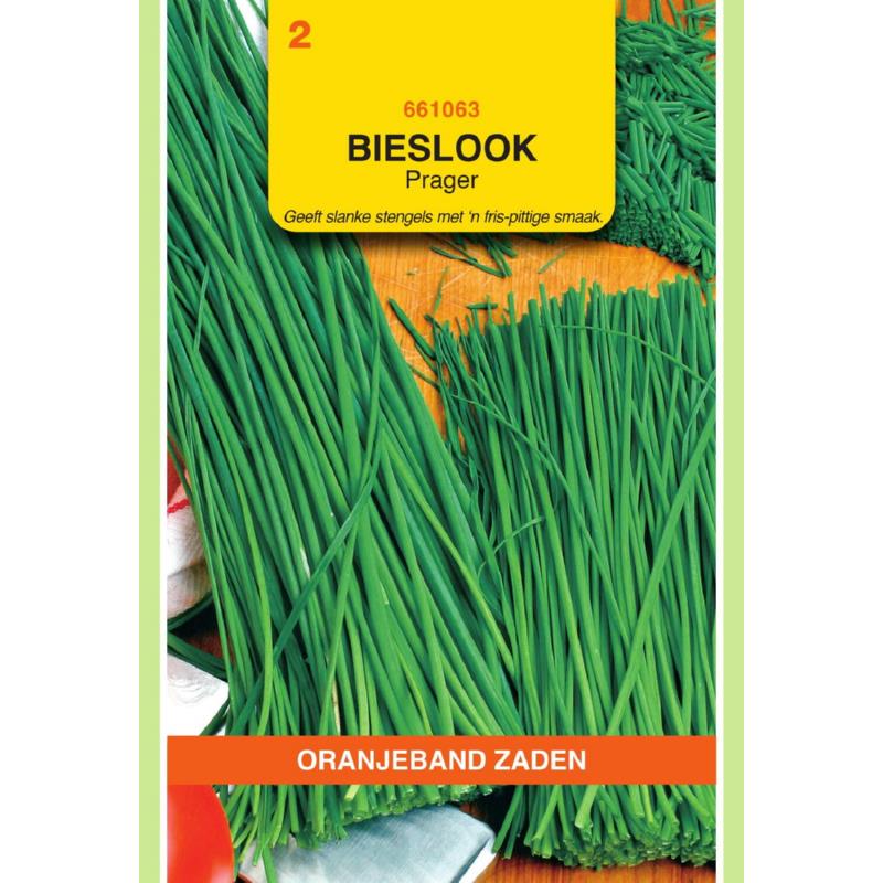 OBZ Bieslook Prager (fijne)