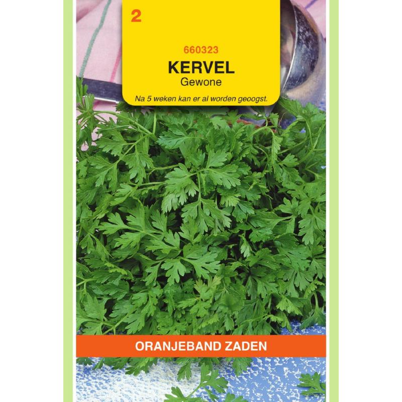 OBZ Kervel Gewone