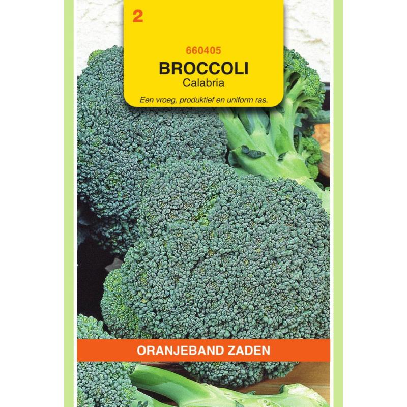 OBZ Broccoli Calabria