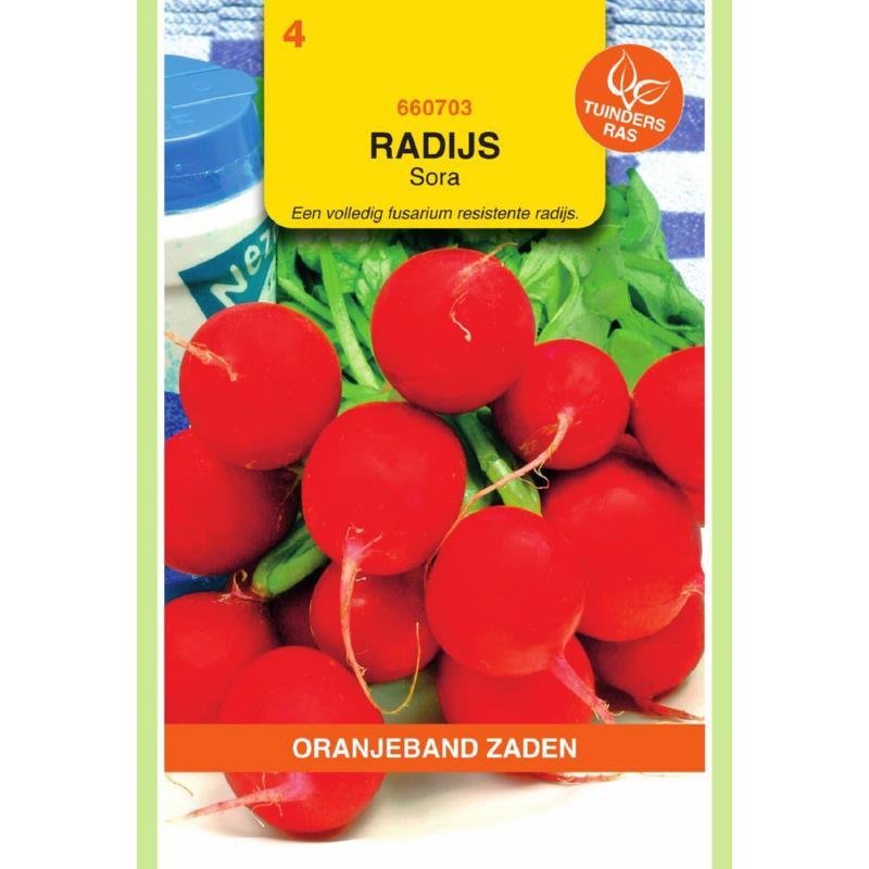 OBZ Radijs Sora
