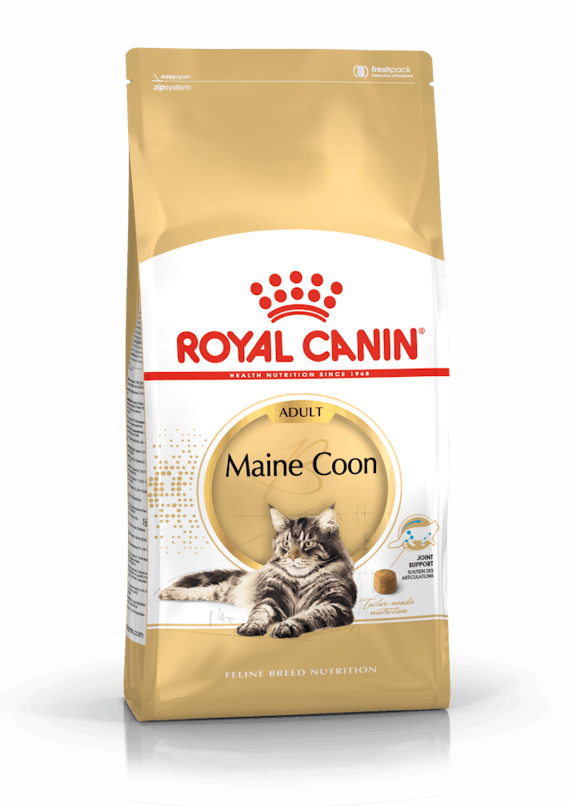 Royal Canin Maine Coon 31 4 kg