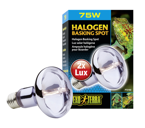 Ex Halogen Basking Spot 75W