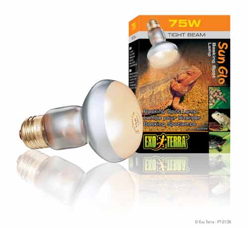 Ex intenese baskingspot 75W