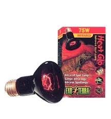 Ex Infrared basking spot 75W