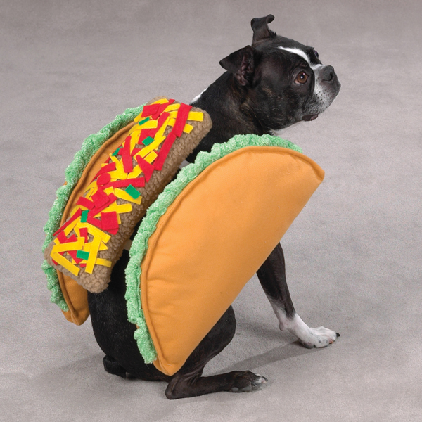 Taco Kostuum S