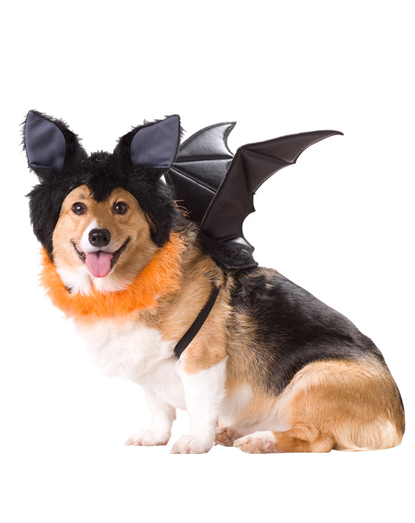 AP Bat Dog Kostuum XS