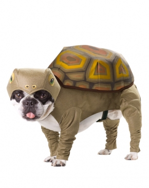 AP Turtle Kostuum XS