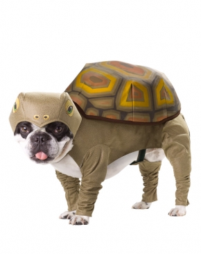 AP Turtle Kostuum S
