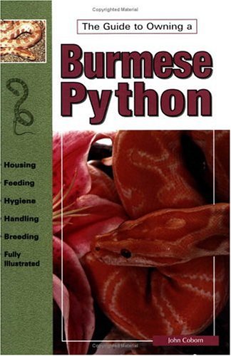 The guide to owning burmese pythons