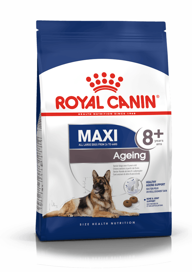 Royal Canin Maxi Ageing 8+ 3 kg