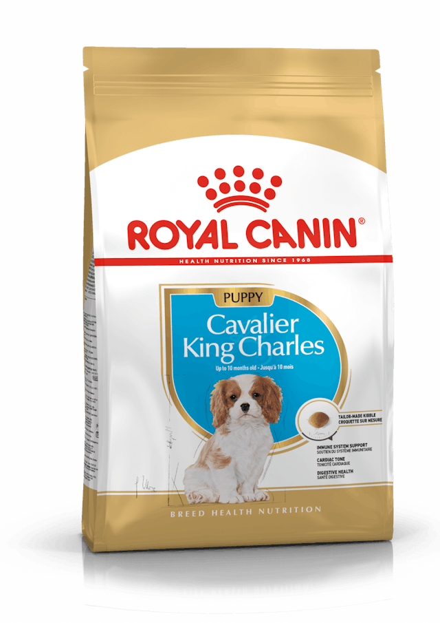 Royal Canin Cavalier King Charles Junior 1,5 kg