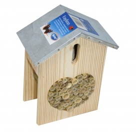 Insectenhuis faylinn
