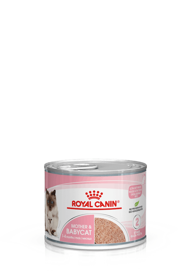 Royal Canin Mother & Babycat Mousse 195 gram