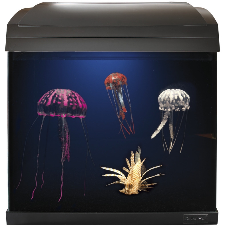 # Aqua 40 Jelly Fish