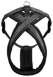 ART SPORTIV tuig cross 25mm 45-70cm