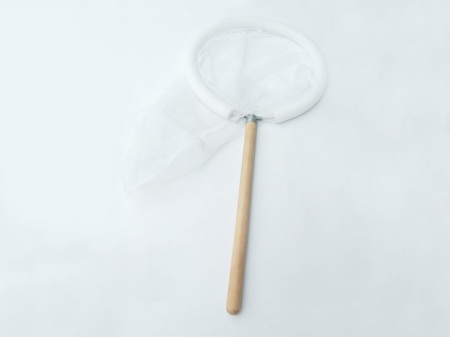 PAPEGAAIEN VANGNET 35CM