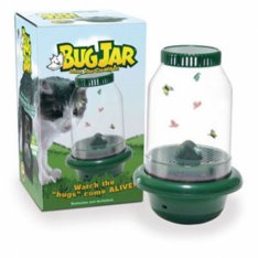 # Bug jar driver your cat wild