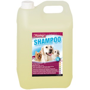 Shampoo met Ei 5 Ltr