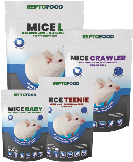 # REPTO DIEPVRIES MUIZEN L 21-30G 10ST