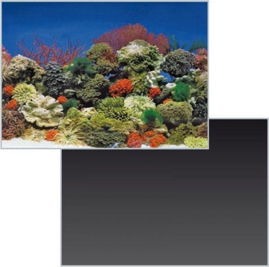 SF deco poster nr 1 120x49 cm