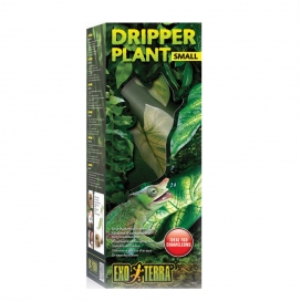 Ex dripper plant small