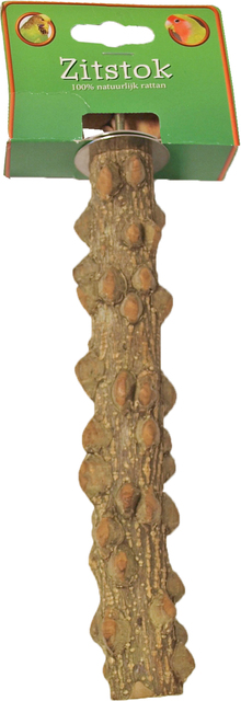 ZITSTOK PEPERBOOM+SCHROEFDR.25/20CM