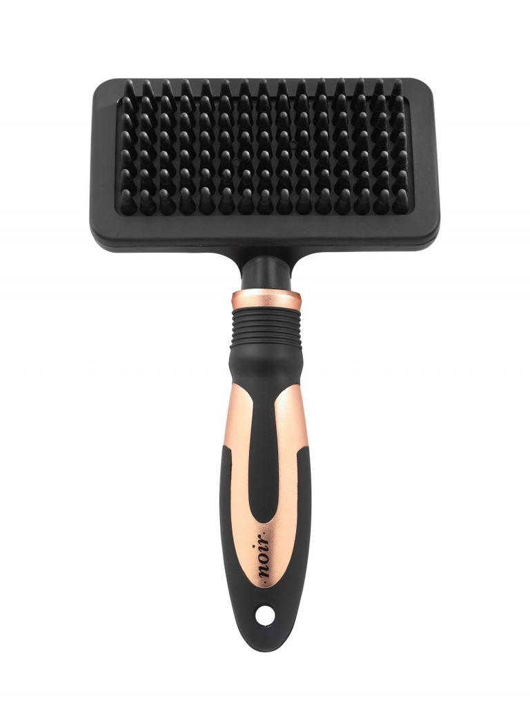 NOIR BROSSE DE MASSAGE M - 20,5x12CM