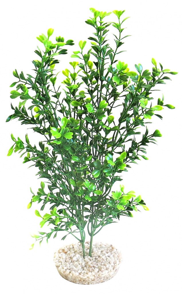 Sydeco Natural Curly Plant 32cm