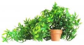 Sydeco Florida Vivarium 30cm