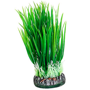 Aq Plant plastic sri lanka plant1 s