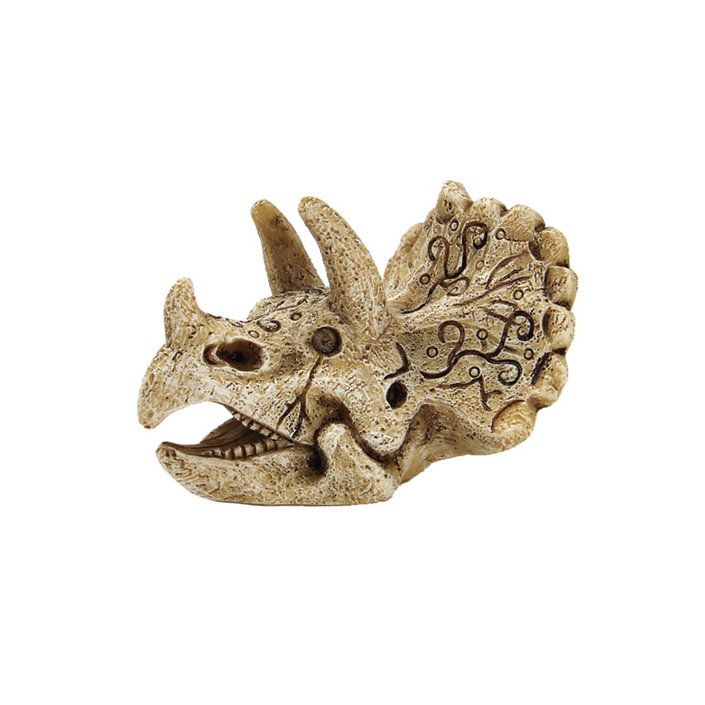 SF SKULL TRICERATOPS S