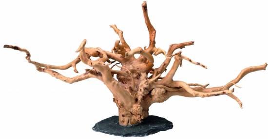 SPIDER WOOD ON ROCK M (30-40CM)