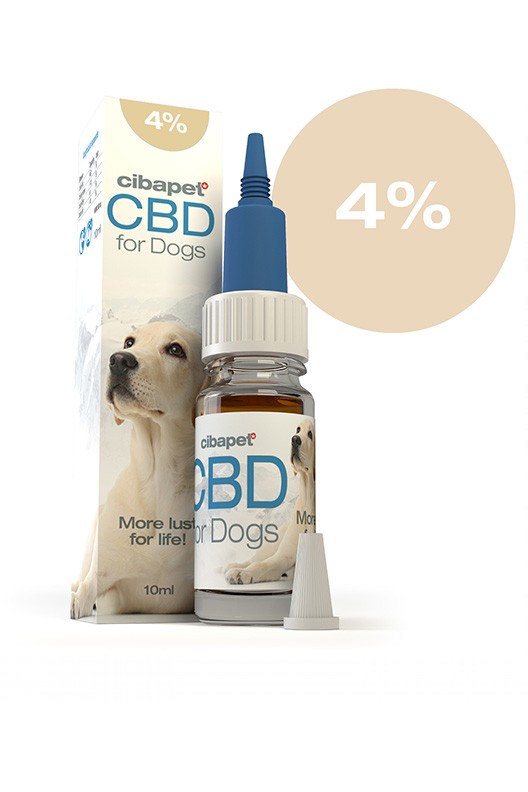 CBD oil for dogs 10 ml 4%