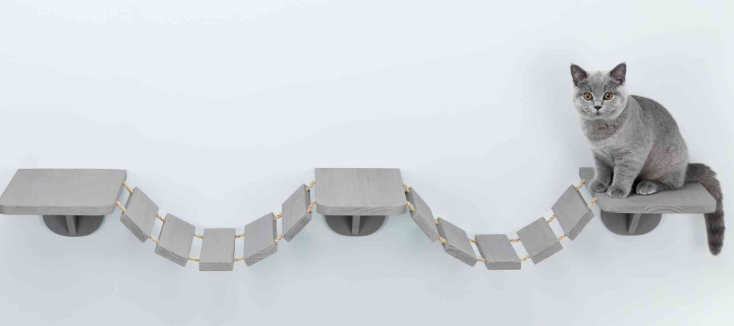 Klim- en klauterladder voor aan de muur, 150 × 30 cm, taupe