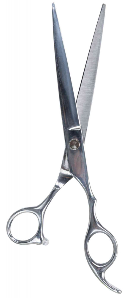 Prof.-Vachtschaar, RVS, 20 cm