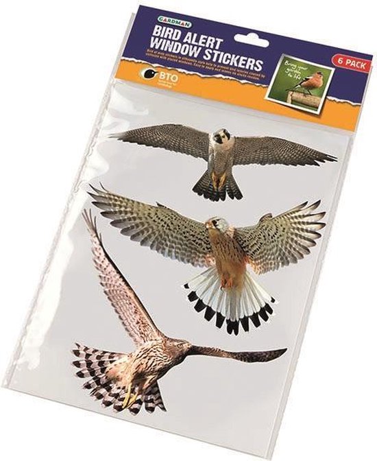 Raamstikkers roofvogels kleur