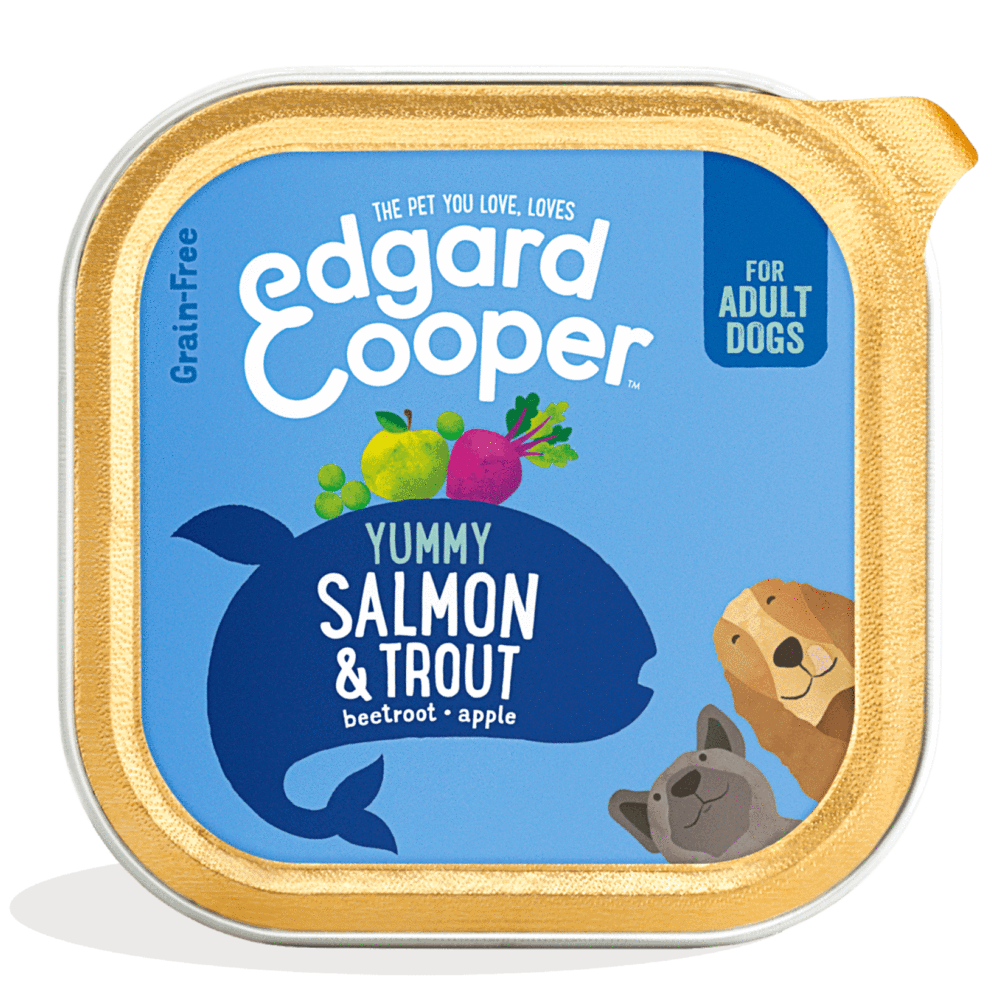 Edgard&Cooper hond adult kuipje zalm&kalkoen 150gr