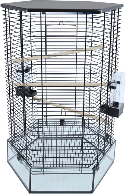 # INTERZOO VOGELKOOI VISION HEXO