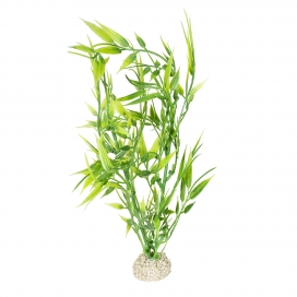 Plant Bamboo M groen