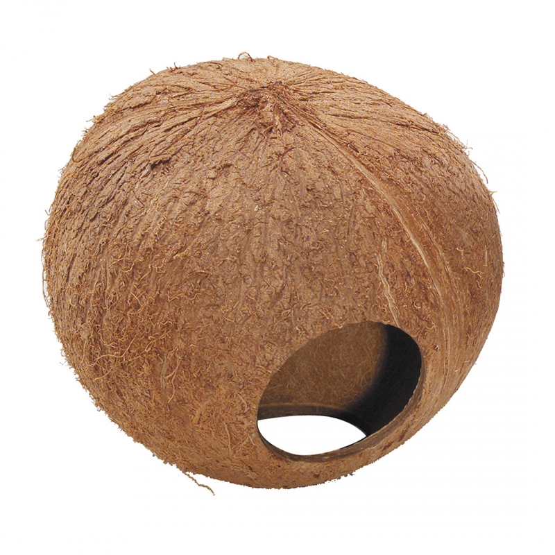 COCONUT GLOBEHOUSE 130MM