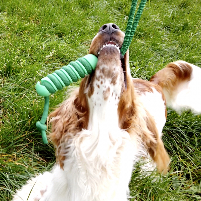 SWING `N CHEW STICK M - 14,5x3,8x3,8cm groen