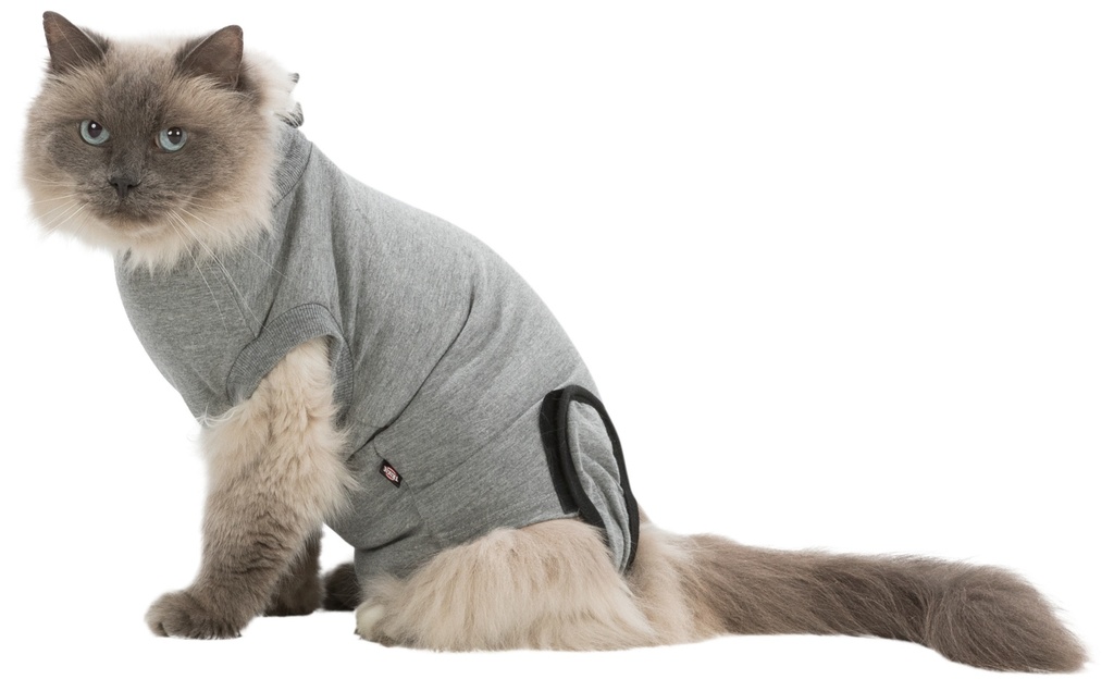 Operatie-hesje voor katten, S–M, grijs