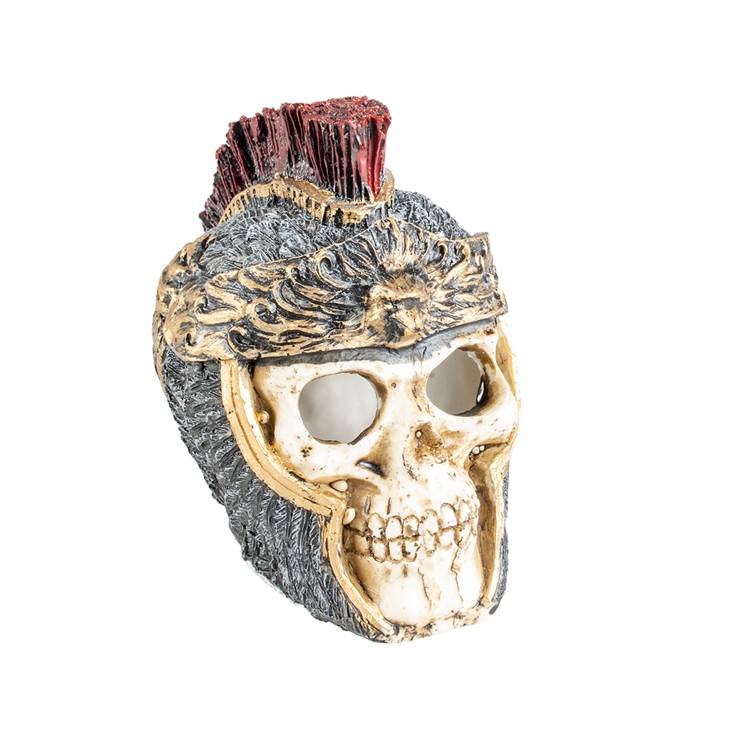 ROMEINS DOODSHOOFD S S - 11x7,3x9,5cm